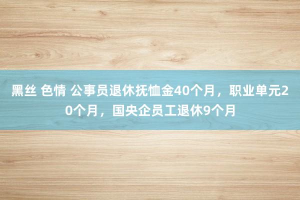 黑丝 色情 公事员退休抚恤金40个月，职业单元20个月，国央企员工退休9个月