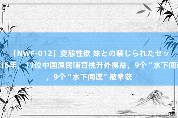 【NWF-012】変態性欲 妹との禁じられたセックス。 2016年，11位中国渔民哺育挑升外得益，9个“水下间谍”被拿获