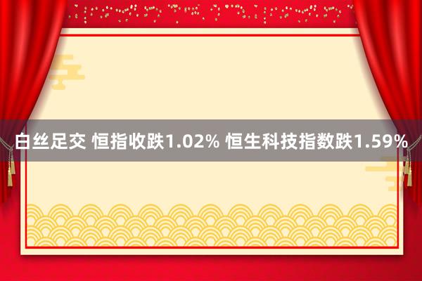 白丝足交 恒指收跌1.02% 恒生科技指数跌1.59%