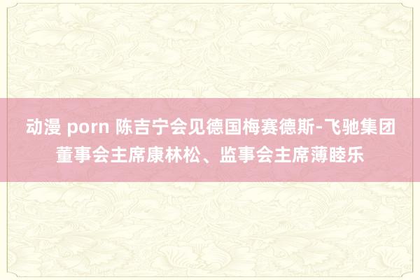 动漫 porn 陈吉宁会见德国梅赛德斯-飞驰集团董事会主席康林松、监事会主席薄睦乐