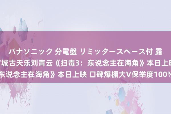 パナソニック 分電盤 リミッタースペース付 露出・半埋込両用形 郭富城古天乐刘青云《扫毒3：东说念主在海角》本日上映 口碑爆棚大V保举度100%