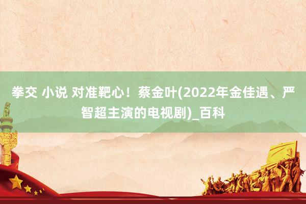 拳交 小说 对准靶心！蔡金叶(2022年金佳遇、严智超主演的电视剧)_百科