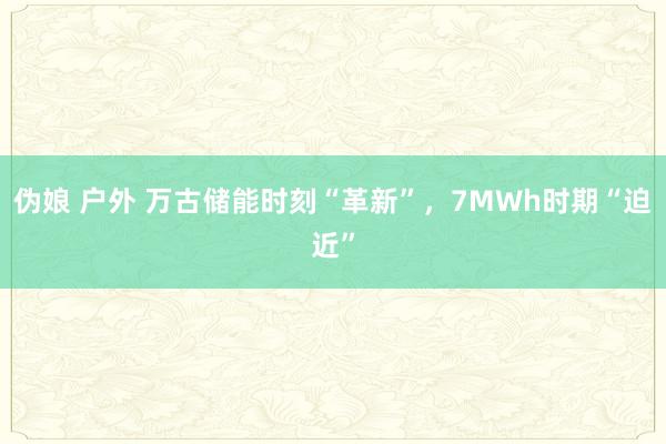 伪娘 户外 万古储能时刻“革新”，7MWh时期“迫近”