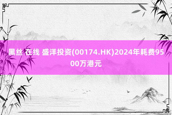 黑丝 在线 盛洋投资(00174.HK)2024年耗费9500万港元