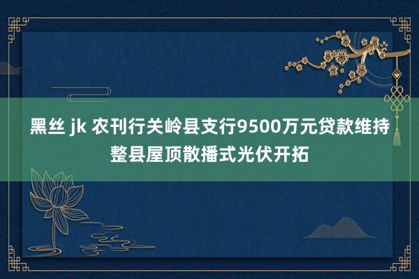 黑丝 jk 农刊行关岭县支行9500万元贷款维持整县屋顶散播式光伏开拓
