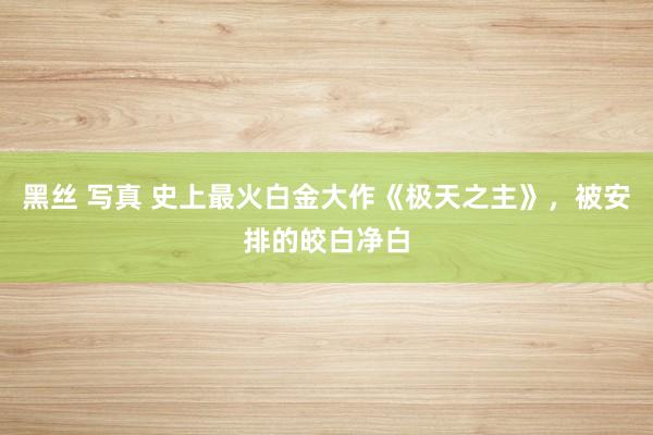 黑丝 写真 史上最火白金大作《极天之主》，被安排的皎白净白