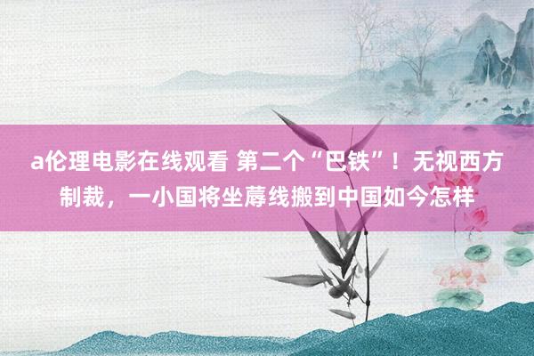 a伦理电影在线观看 第二个“巴铁”！无视西方制裁，一小国将坐蓐线搬到中国如今怎样