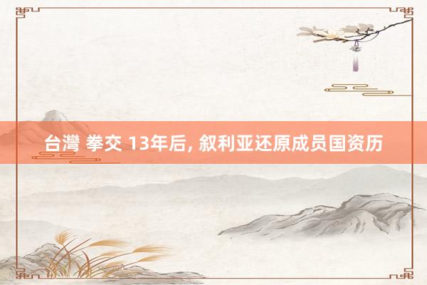 台灣 拳交 13年后, 叙利亚还原成员国资历