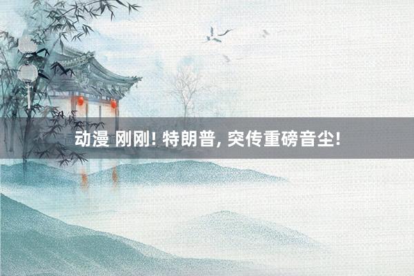 动漫 刚刚! 特朗普, 突传重磅音尘!