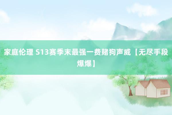 家庭伦理 S13赛季末最强一费赌狗声威【无尽手段爆爆】