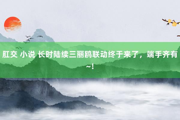 肛交 小说 长时陆续三丽鸥联动终于来了，端手齐有~！