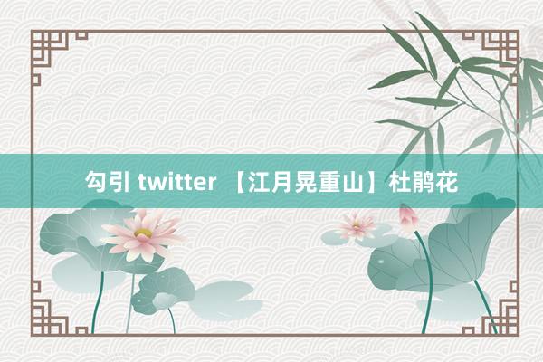 勾引 twitter 【江月晃重山】杜鹃花