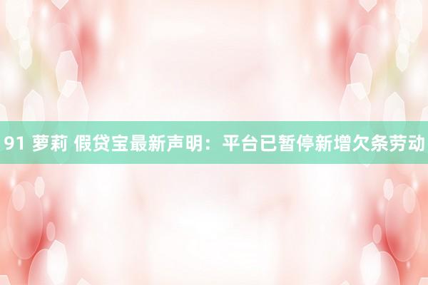 91 萝莉 假贷宝最新声明：平台已暂停新增欠条劳动