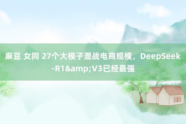 麻豆 女同 27个大模子混战电商规模，DeepSeek-R1&V3已经最强